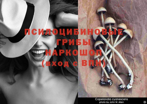 ALPHA PVP Гусиноозёрск