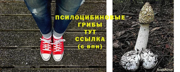 гидропоника Осинники