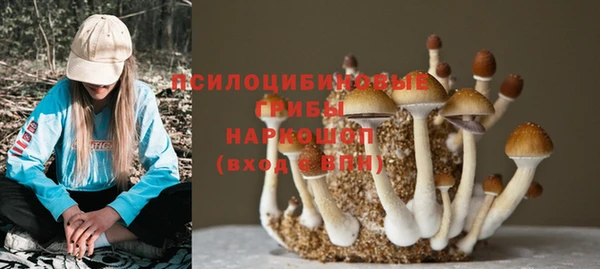 МДПВ Горняк