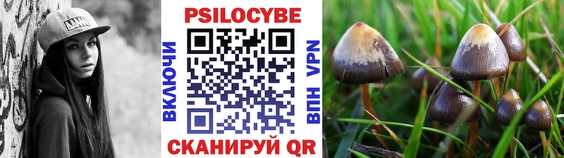 закладка  Донской  Галлюциногенные грибы мухоморы 
